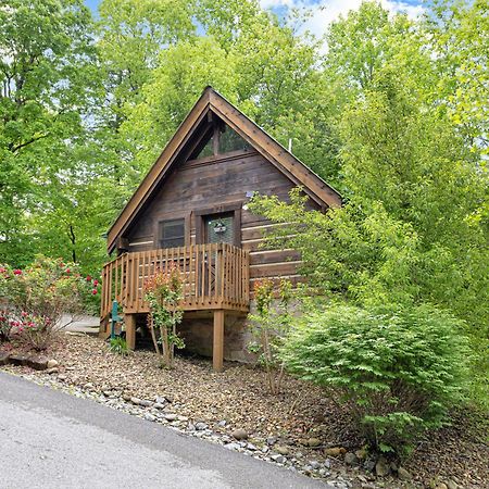 Cozy Cabin! Hot Tub, King Bed, Fireplace, & Pool Gatlinburg Bagian luar foto